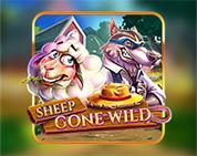 Sheep Gone Wild